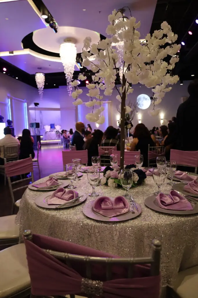 Projector Casting a Stunning Moon on the Banquet Hall Wall - Elegant Event Lighting